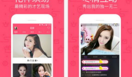 91直播软件下架了吗,回顾与展望